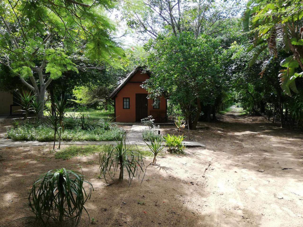 We Bushcamp & Horse Safaris Villa Hluhluwe Kültér fotó