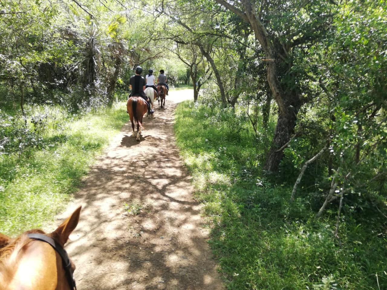 We Bushcamp & Horse Safaris Villa Hluhluwe Kültér fotó