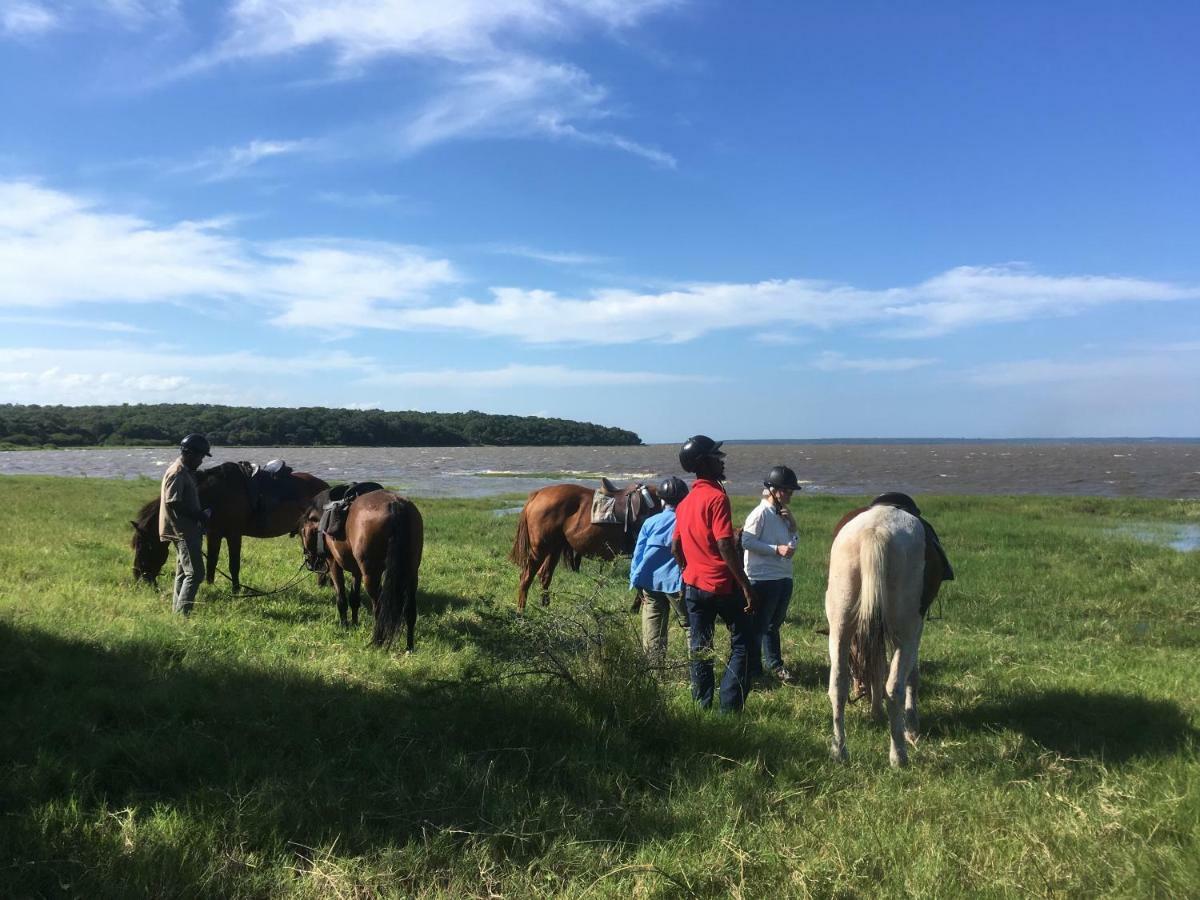 We Bushcamp & Horse Safaris Villa Hluhluwe Kültér fotó