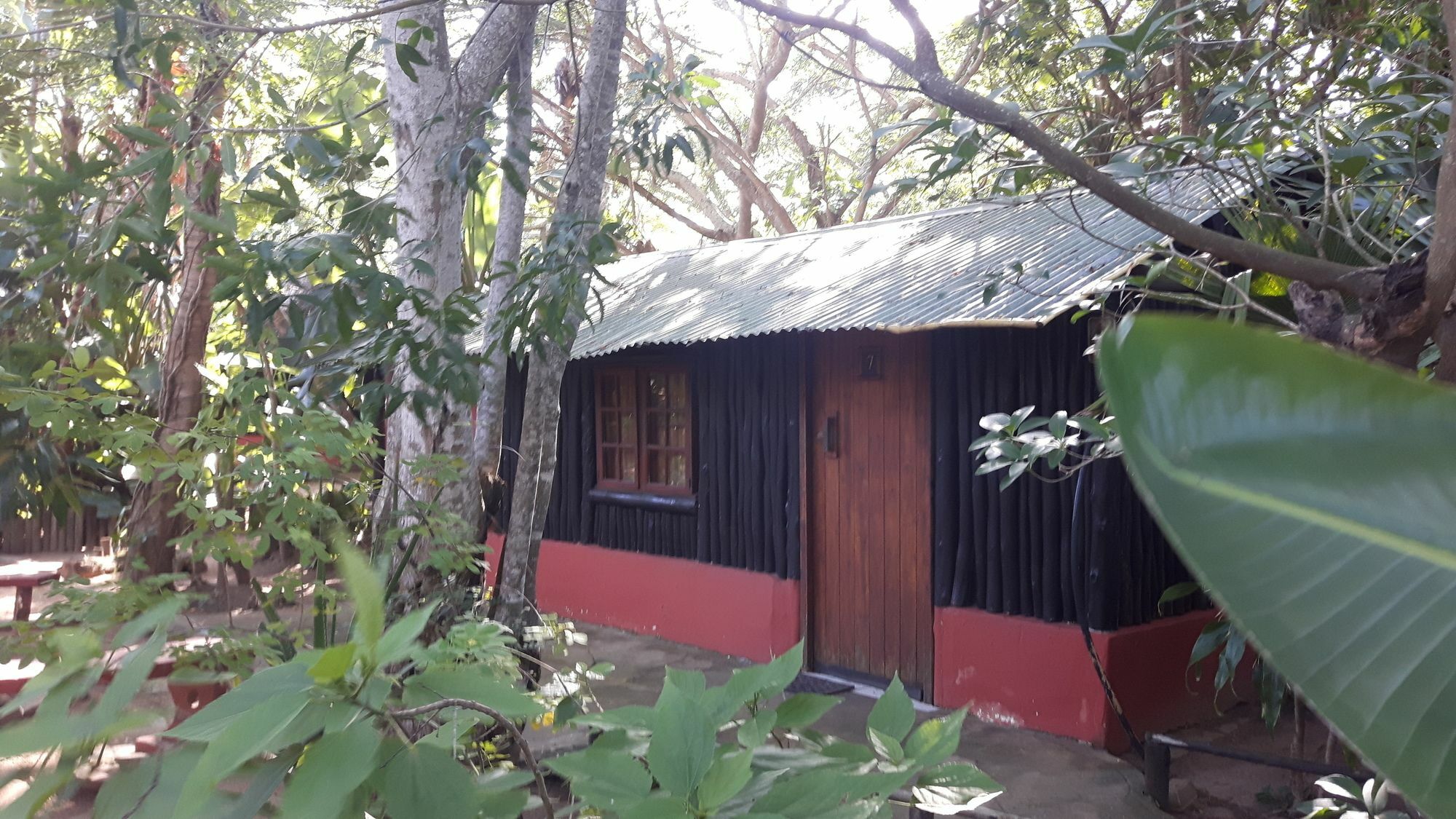 We Bushcamp & Horse Safaris Villa Hluhluwe Kültér fotó