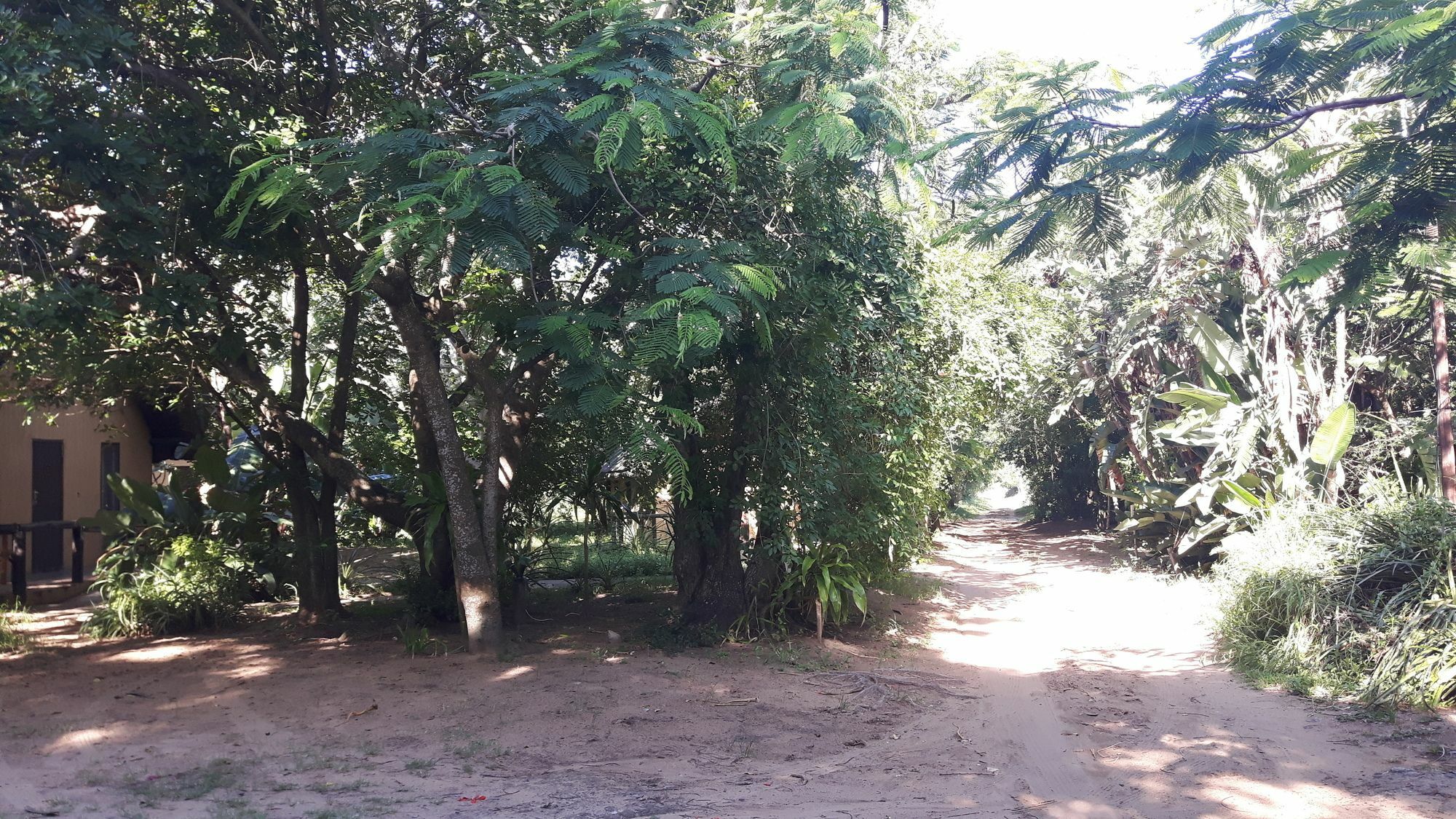 We Bushcamp & Horse Safaris Villa Hluhluwe Kültér fotó