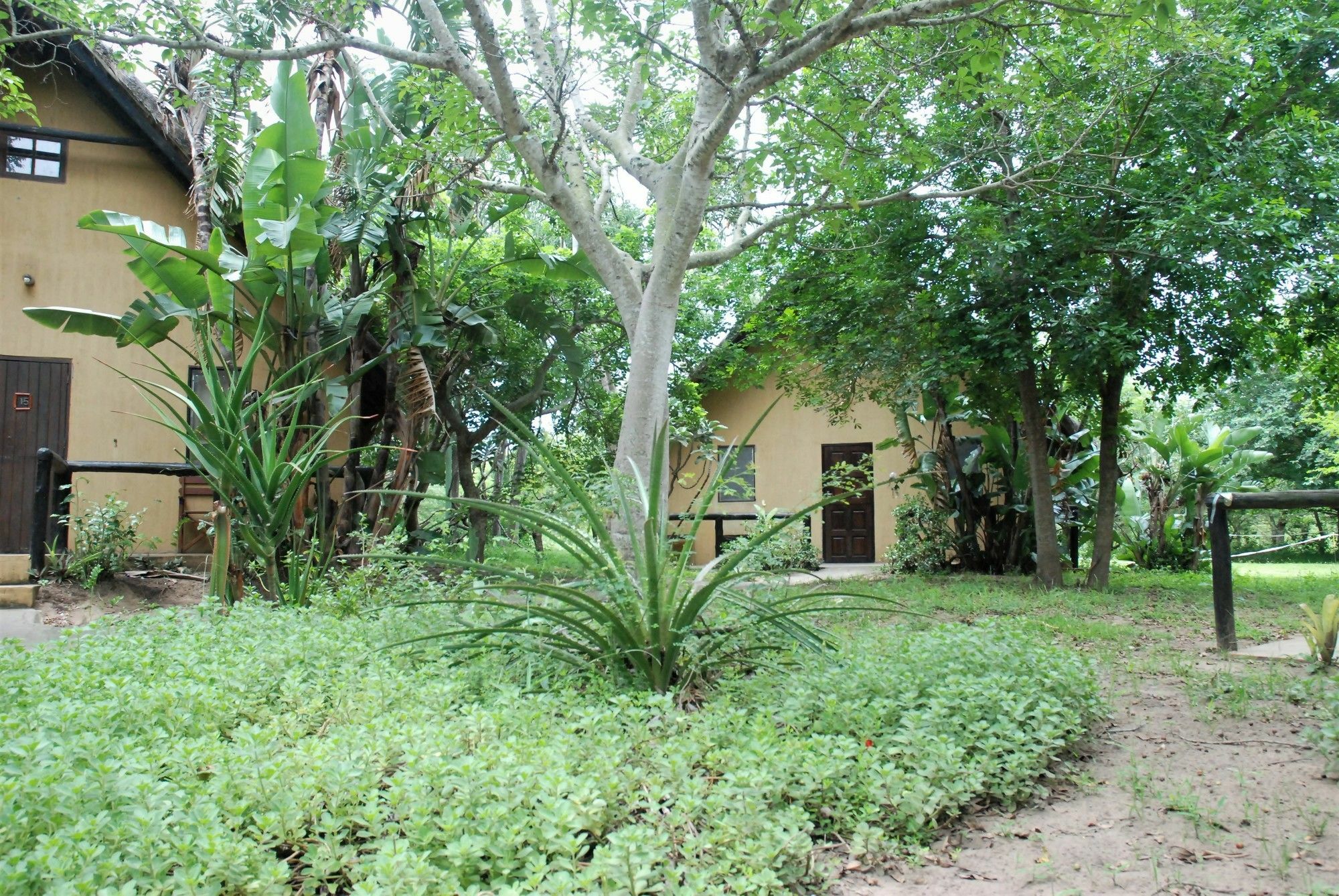 We Bushcamp & Horse Safaris Villa Hluhluwe Kültér fotó